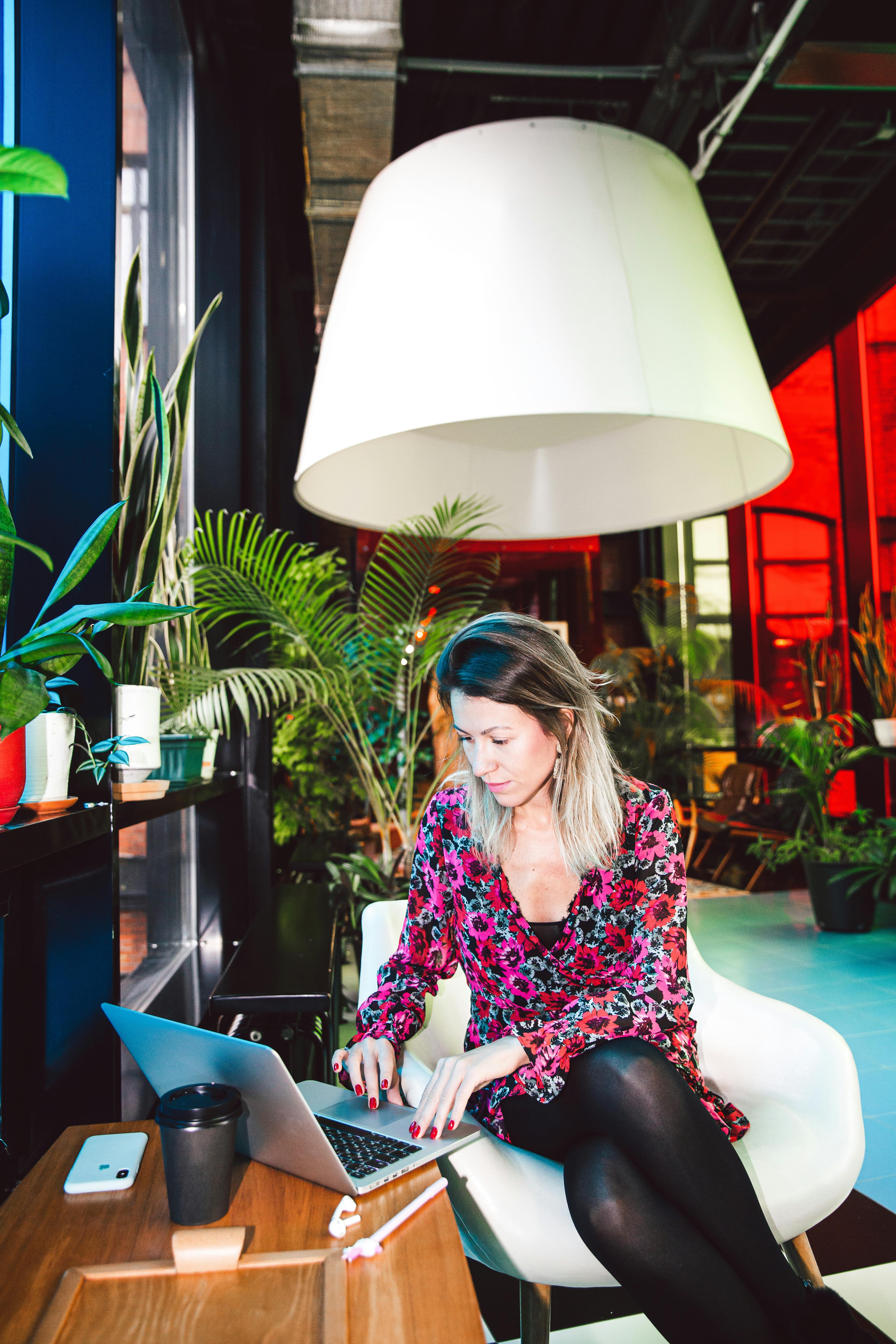 7 luftrenande växter för ett friskare kontor